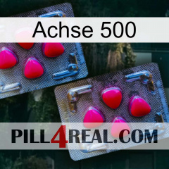 Axcil 500 14